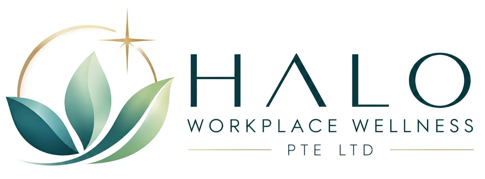 HALO Workplace Wellness Pte Ltd